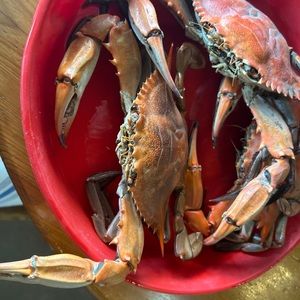 Meet your Posher, Tina